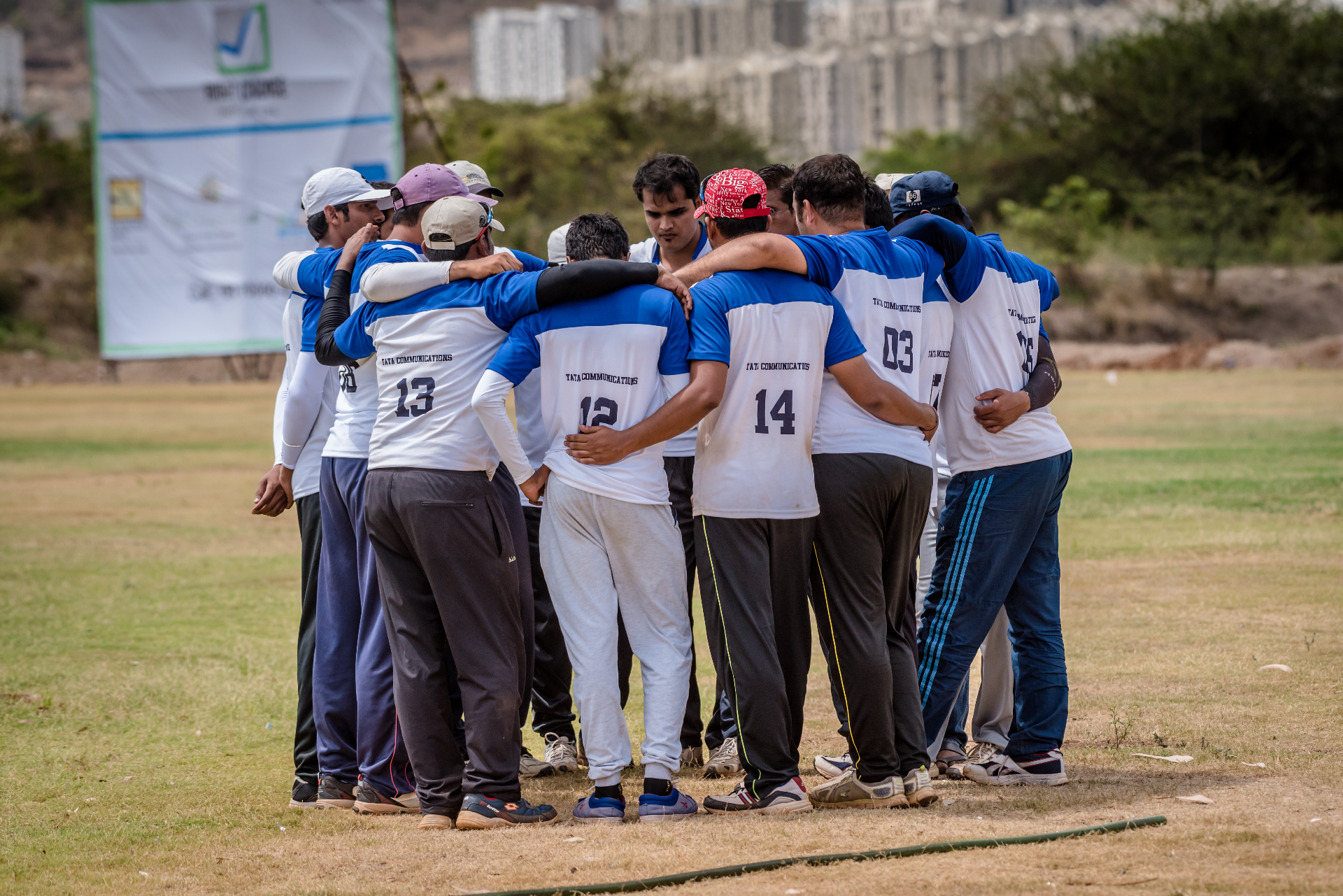 Pro Cricket League - Image 2